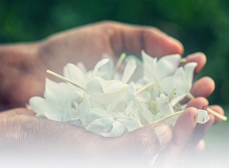 news-ban-1 news-ban-1