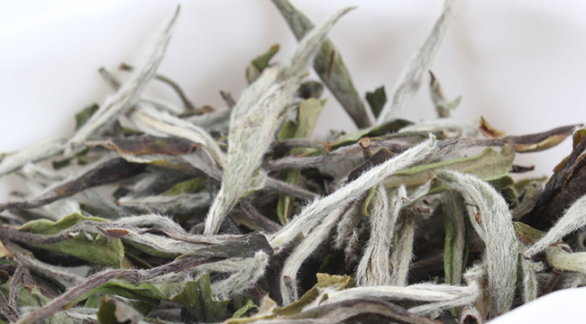 20250926083726 20250926083726