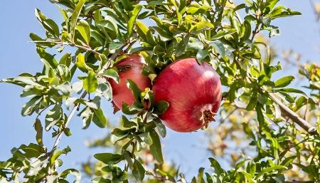 20251219164008 20251219164008