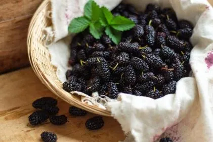 1719193736699309.png ͼƬ5.png