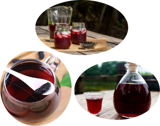 1719193845975487.png ͼƬ8.png