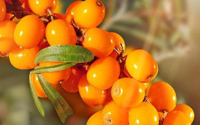 1726793527670478.jpg 微信图片_20240910145200.jpg